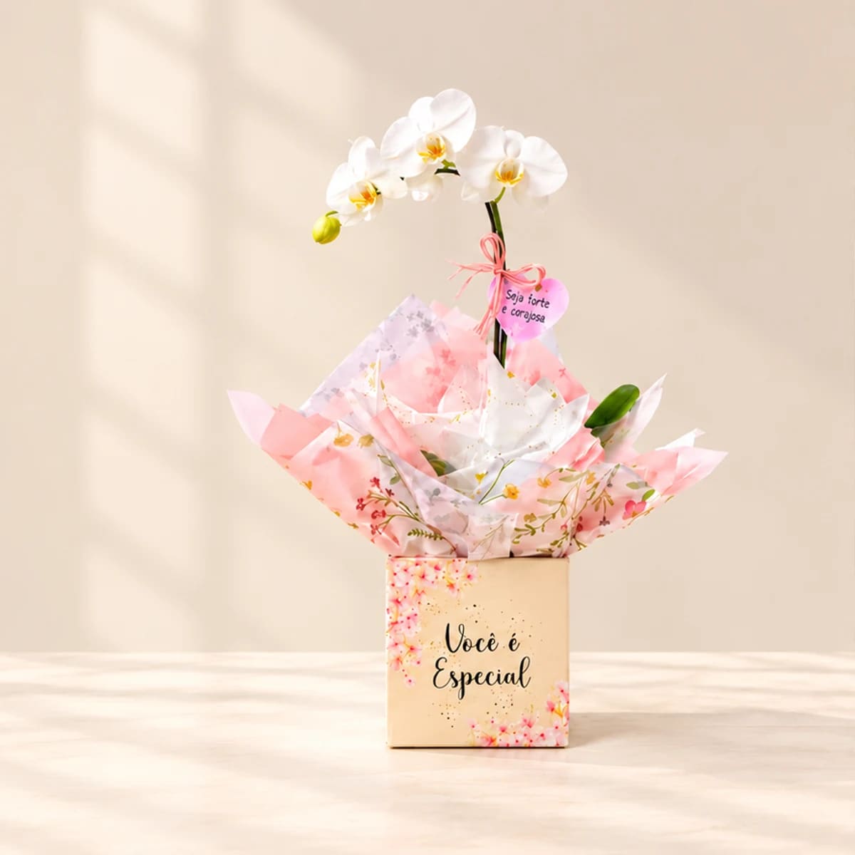 Orquídea especial